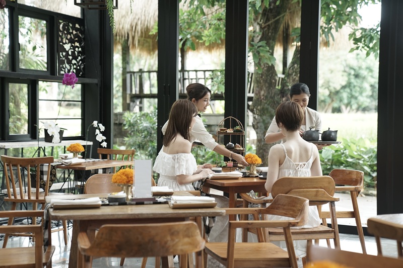 アフタヌーンティー オーキッド 5