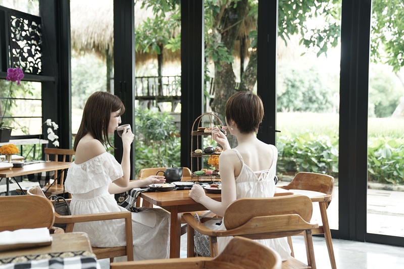 アフタヌーンティー オーキッド 6